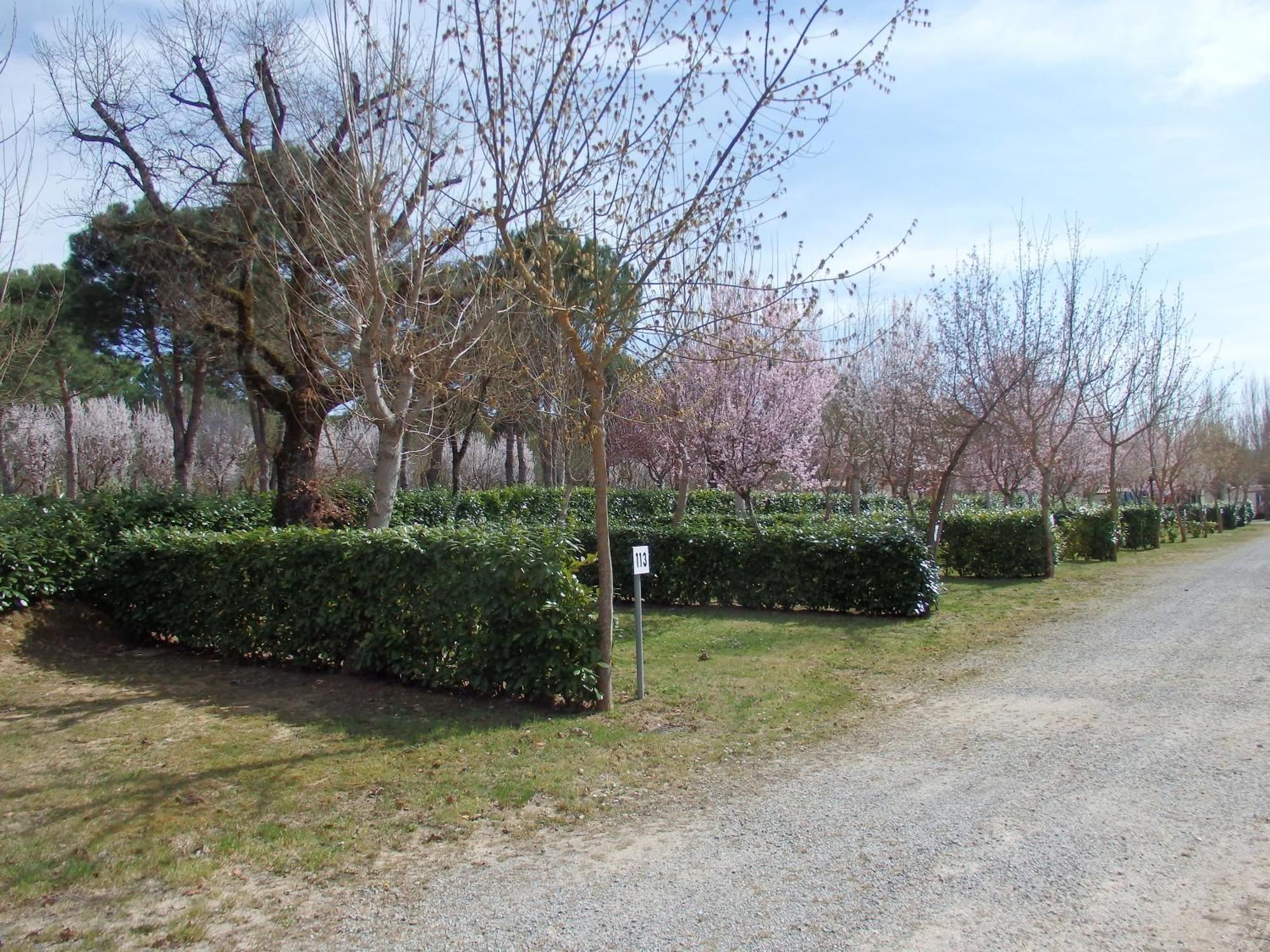 Camping Village La Chiocciola Capannole Exterior photo